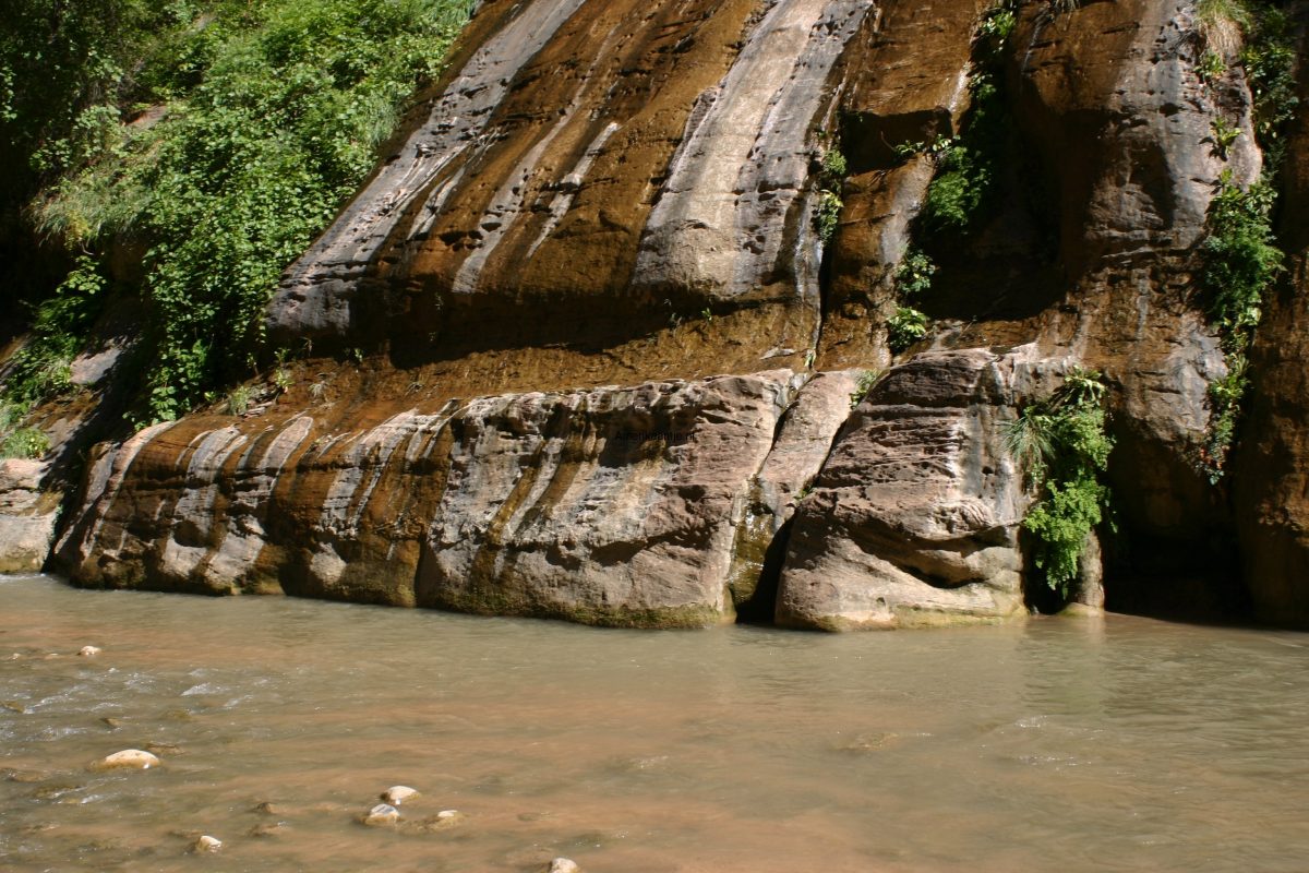 Zion